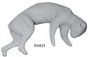 RAB25